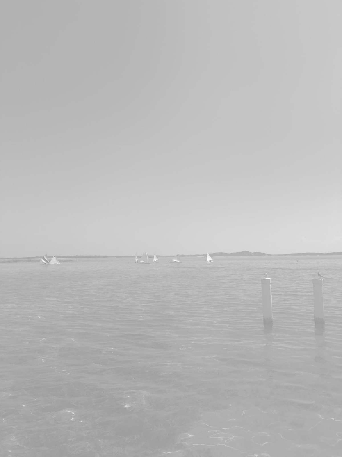 Sailboats and pilings